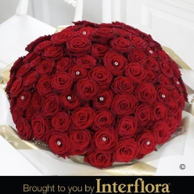 Ultimate 100 Rose Hand tied